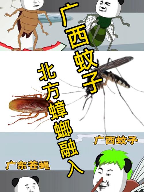 中国蟑螂vs外星蟑螂视频