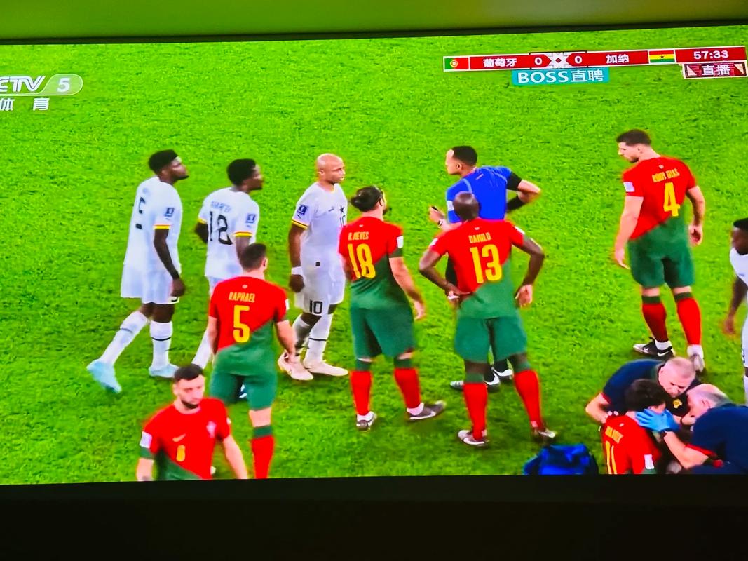 葡萄牙vs加纳猫咪